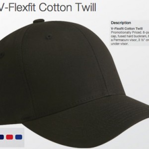 Flexfit 5001 V